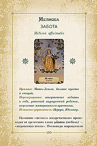 Оракул. Магия звезд и растений. Таро, гадания и знаки (55 карт и руководство)